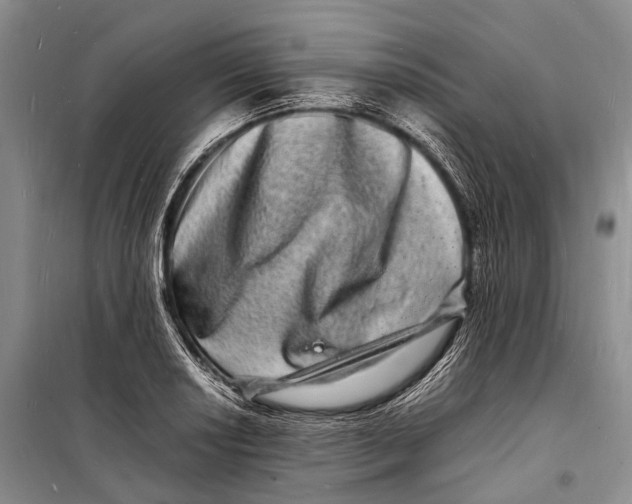 X0000098181034200805151136