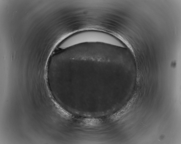 X0000098181037200805151136