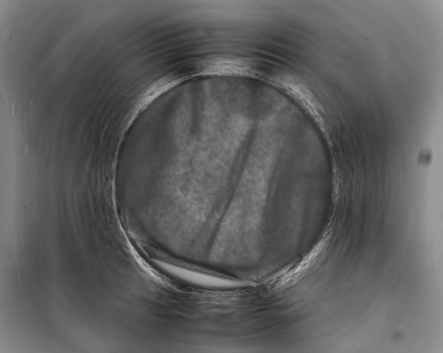 X0000098181041200805151136