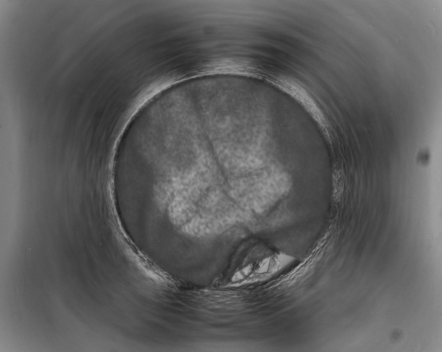 X0000098181043200805151136