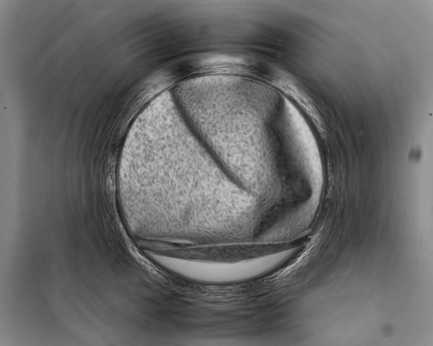 X0000098181049200805151136