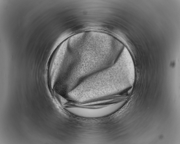 X0000098181050200805151136