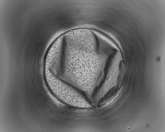 X0000098181054200805151136