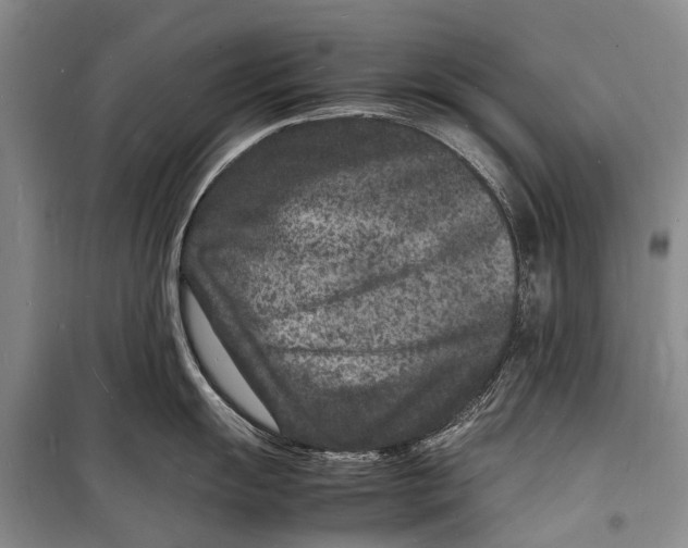 X0000098181055200805151136