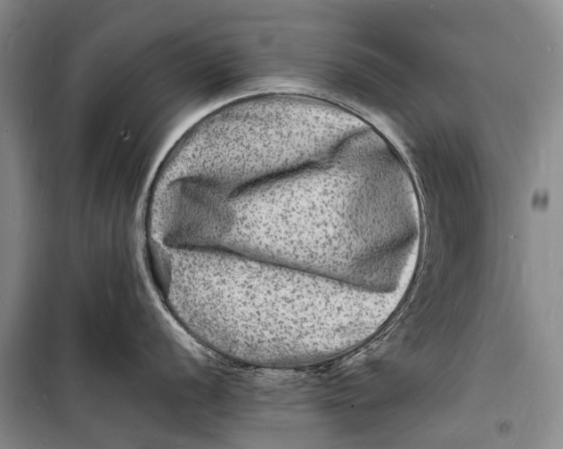 X0000098181056200805151136