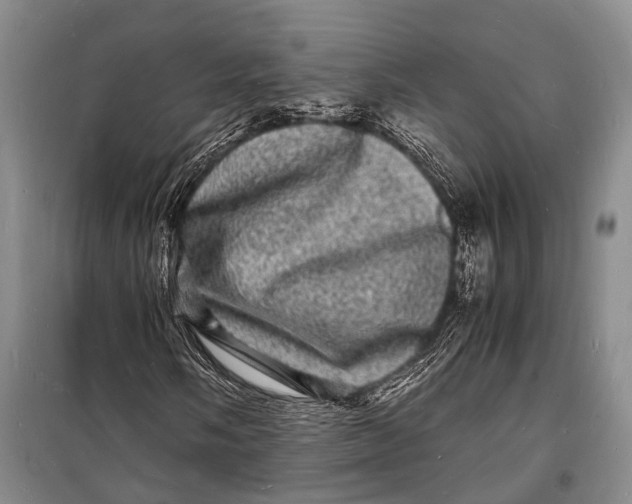 X0000098181058200805151135