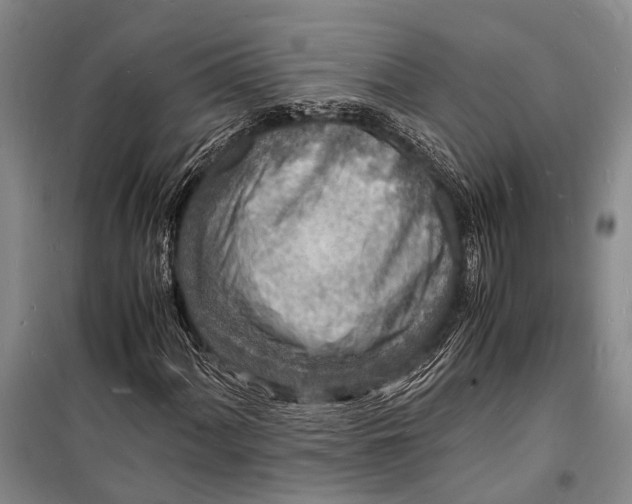 X0000098181060200805151135