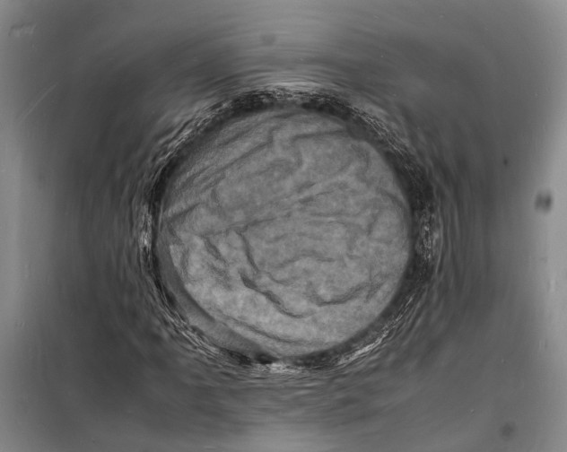 X0000098181061200805151135