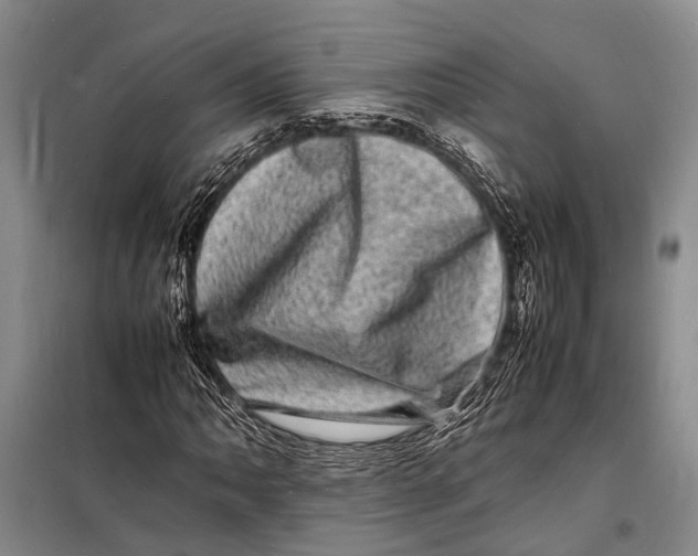 X0000098181062200805151135