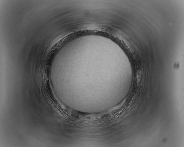 X0000098181064200805151135