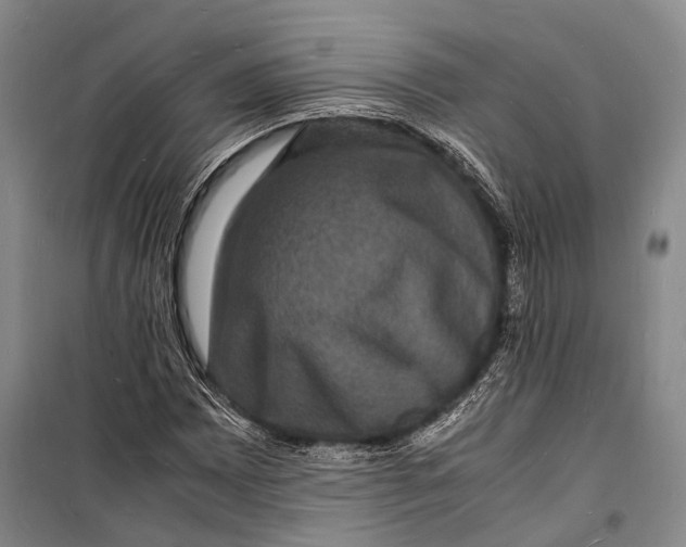 X0000098181065200805151135