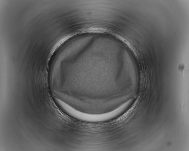 X0000098181066200805151135