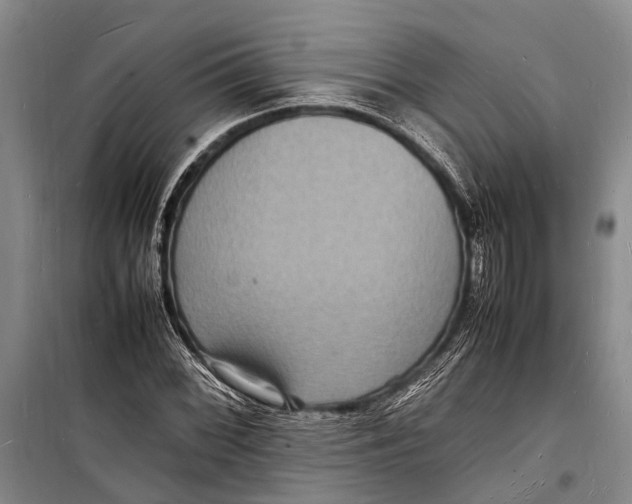 X0000098181068200805151135