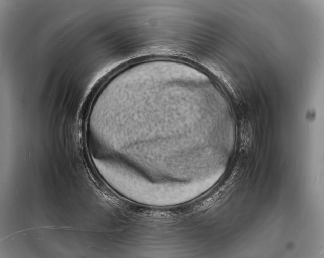 X0000098181070200805151135