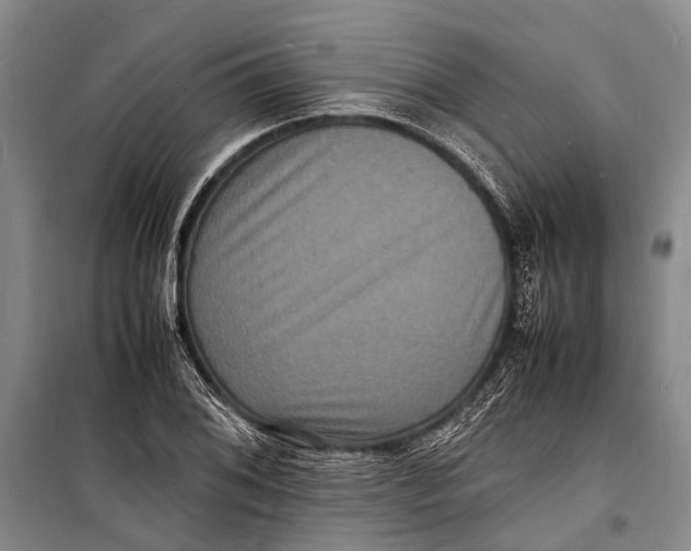 X0000098181076200805151135