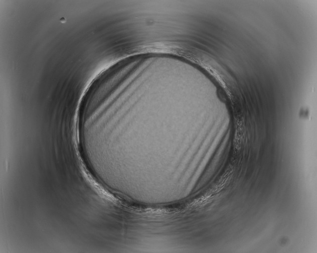 X0000098181080200805151135