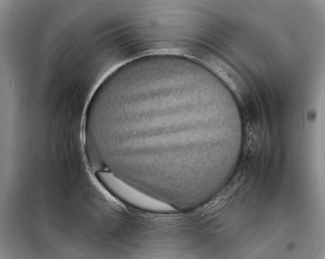 X0000098181084200805151135