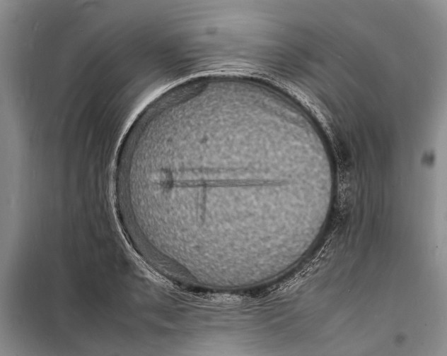 X0000098181085200805151135