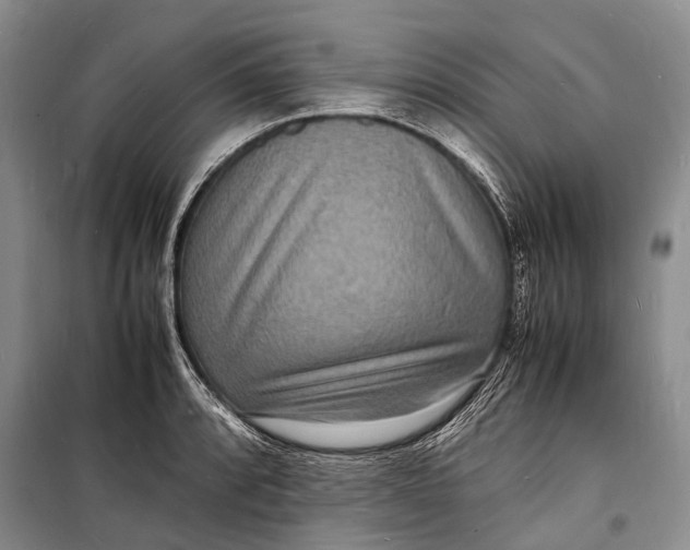 X0000098181088200805151135