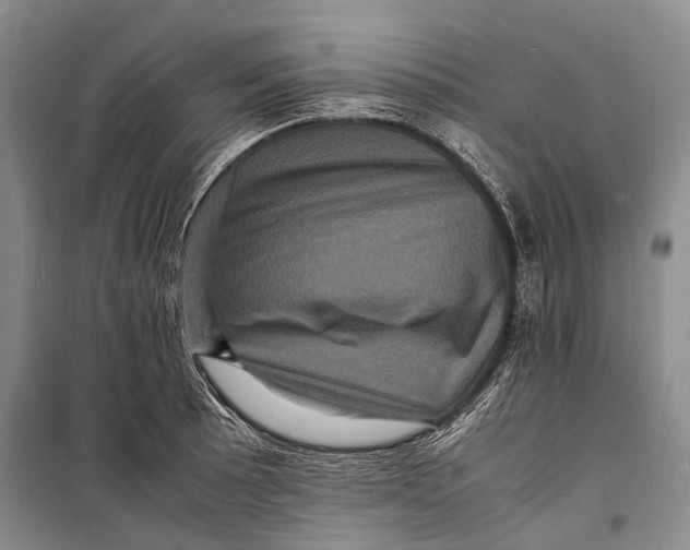 X0000098181089200805151135