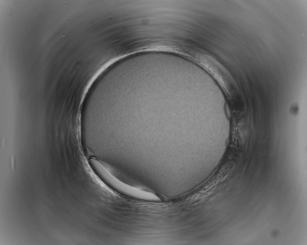 X0000098181092200805151135