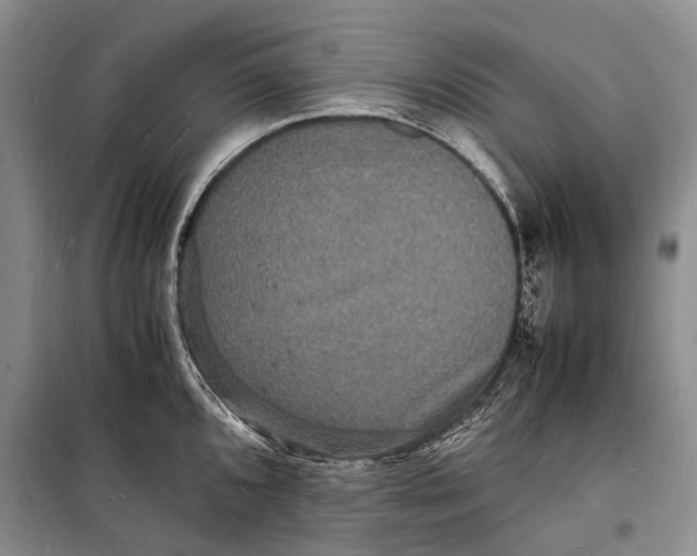 X0000098181096200805151135