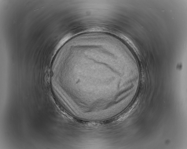 X0000098181097200805151135