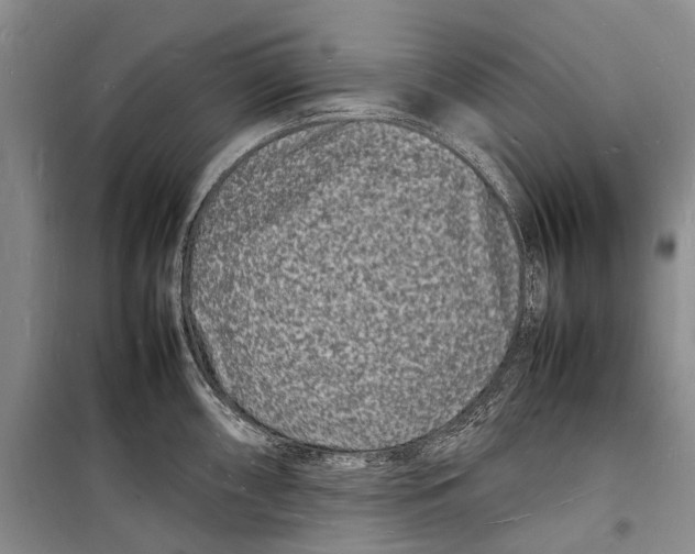 X0000098181098200805151135