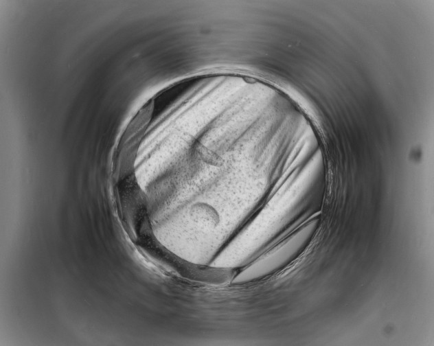 X0000098181102200805151134