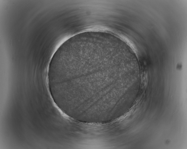 X0000098181103200805151134