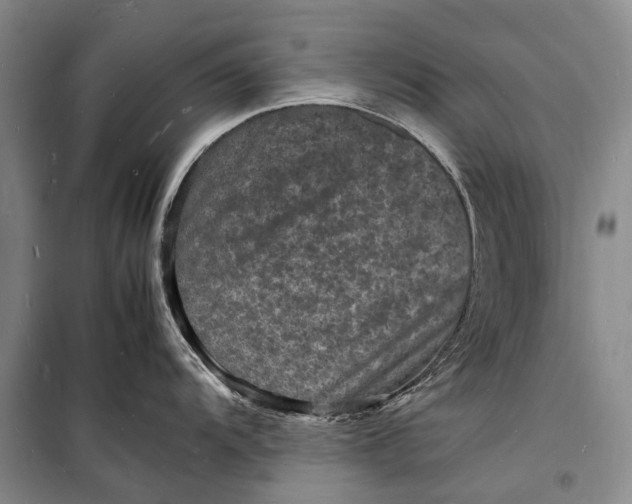 X0000098181104200805151134