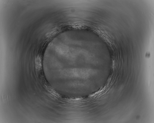 X0000098181106200805151134