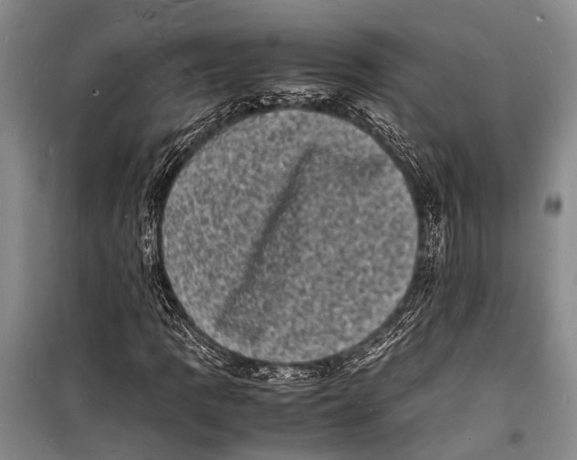 X0000098181109200805151134