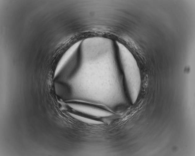 X0000098181110200805151134