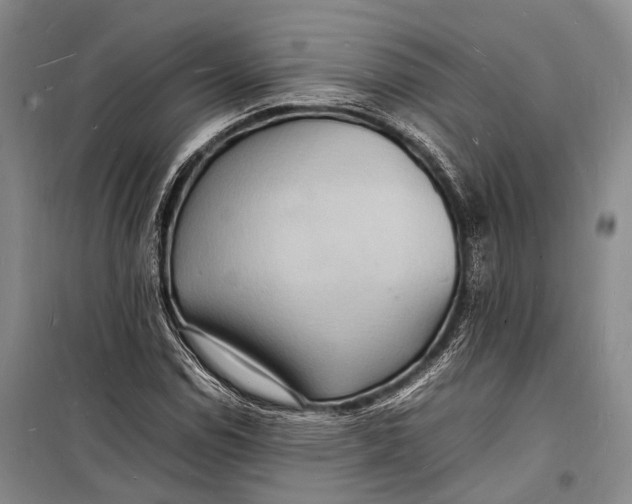 X0000098181114200805151134