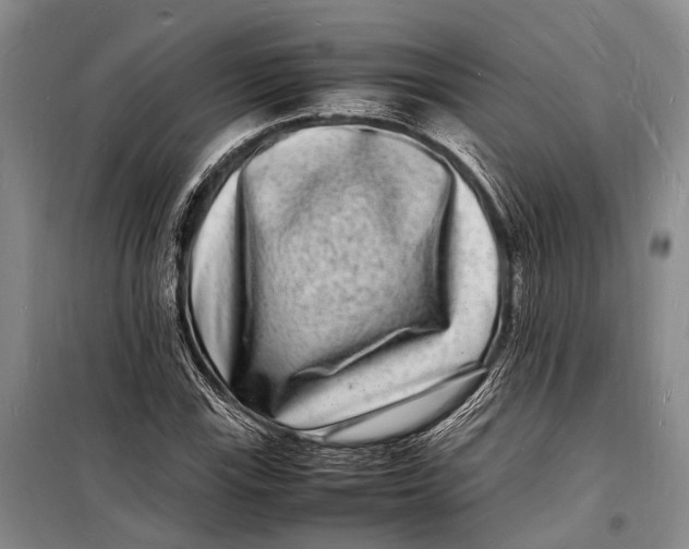 X0000098181115200805151134