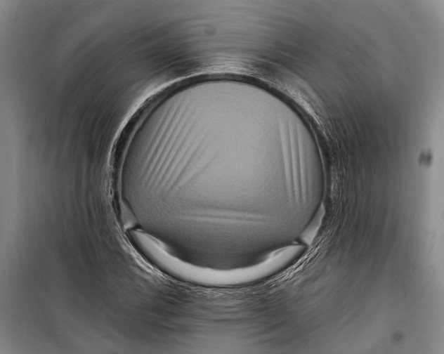 X0000098181116200805151134