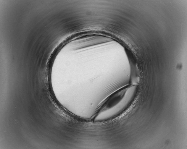 X0000098181118200805151134