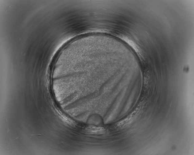 X0000098181119200805151134