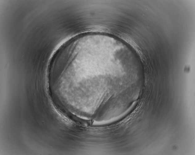 X0000098181120200805151134