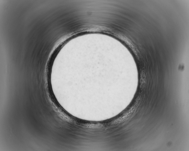 X0000098181122200805151134