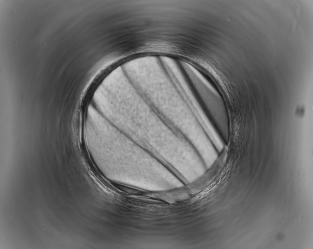 X0000098181123200805151134