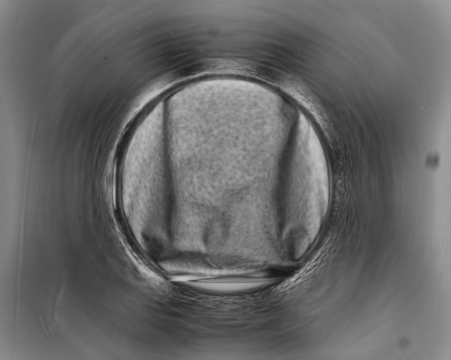 X0000098181127200805151134