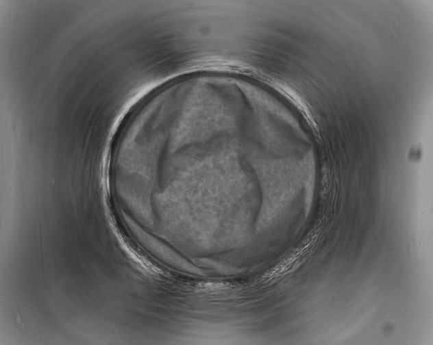 X0000098181128200805151134