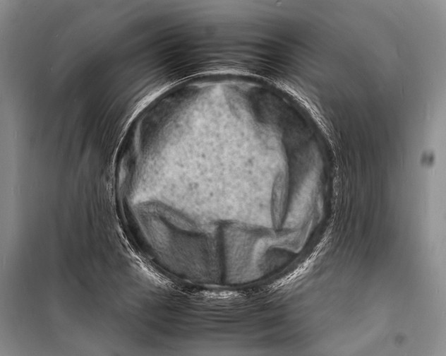 X0000098181129200805151134