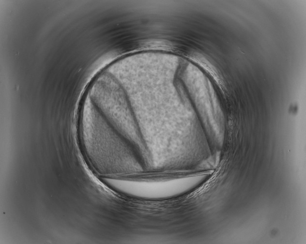 X0000098181135200805151134