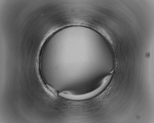 X0000098181136200805151134