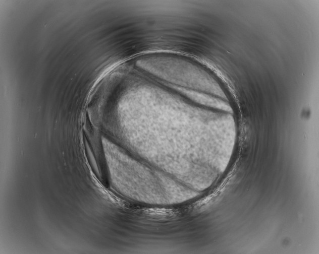 X0000098181137200805151134