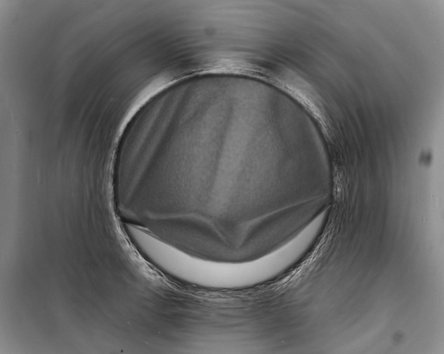 X0000098181138200805151134