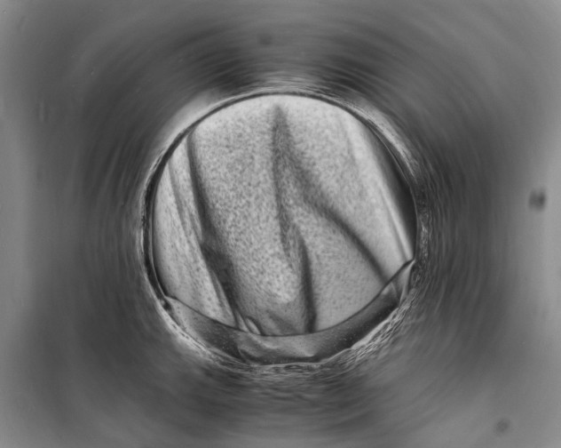 X0000098181143200805151134